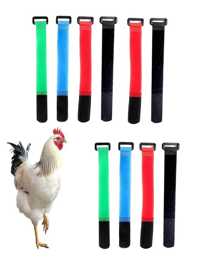 LINYUEARUI 10PCS Upgrade Anti Crow Rooster Collar,No Crow Noise Neck Belt for Roosters,Anti Noise Nylon Neck Belt to Keep Roosters Quiet,Disturbing Neighbors,Prevent Chickens from Screaming - Image 1